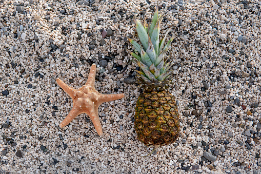 Picture of a Pineapple and a starfish on the seashore.