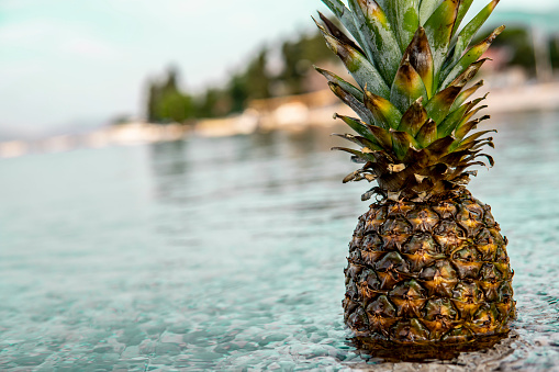 Close up picture of Pineapple on the seashore in the water