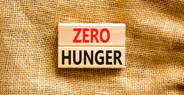 istock Zero hunger symbol. Concept words Zero hunger on wooden blocks on a beautiful canvas table canvas background. Businessman hand. Business, support and Zero hunger concept. Copy space. 1414650770