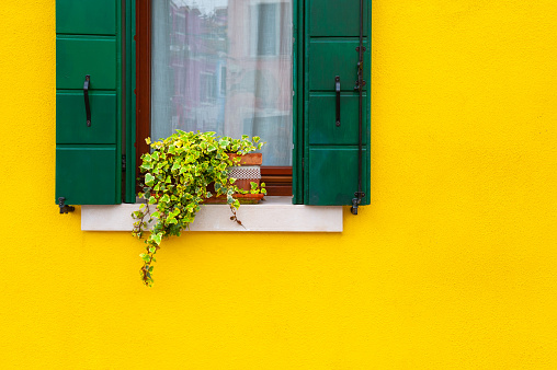 Yellow painted facade of the house and window with flowers. Colorful architecture in Burano island, Venice, Italy.