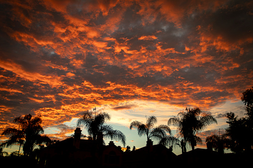 Silhouette of palm trees and roofs against dramatic orange clouds