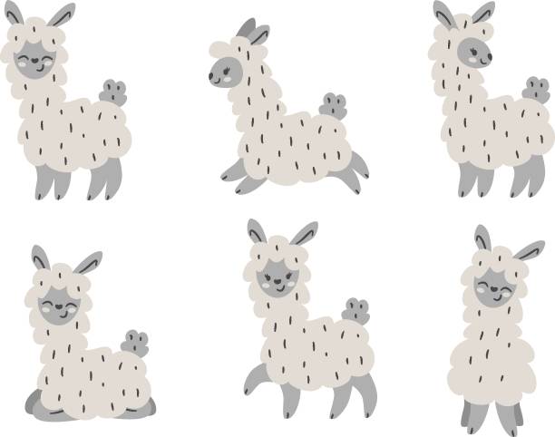 Vector children's set. Cute gray llamas. Beautiful fluffy alpacas. Animal set