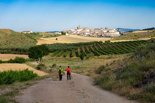 Navarre, Spain - June 4, 2022: Hikers on the Camino de Santiago approach the town of Cirauqui in the Navarre region.