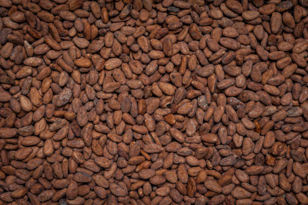 istock cocoa beans as background. Cocoa products 1414666150