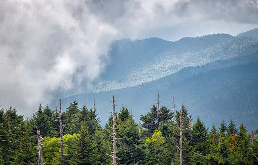 Mountain rangers with dramatic fog and clouds rising in Great Smoky Mountains National Park, Tennessee, USA, view from Clingman's Dome