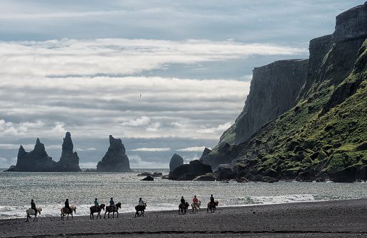 Icelandic horses in winter just off the road in the south east of Iceland. This pictures was once featured as one of the top 10 photos of the day in December of 2018 on YourShot National Geographic community.