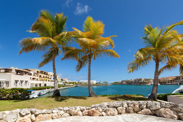 istock Cap Cana marina in Dominican Republic 1414671626