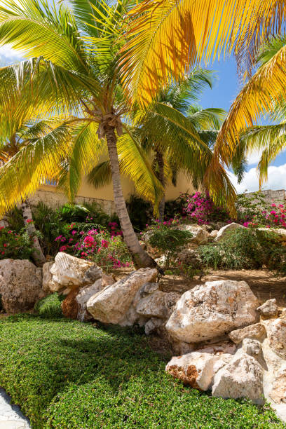 istock Coconut palm with tropical flowers 1414671659