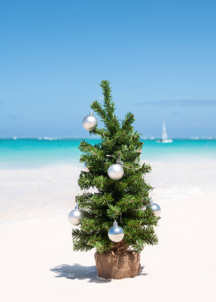 istock Christmas fir tree on sandy beach. Tropical New year celebration 1414672841