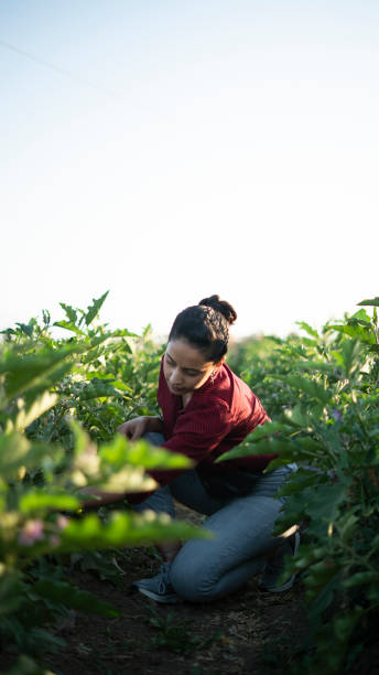 istock woman farmer 1414674274