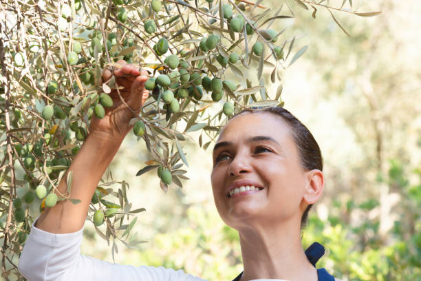 istock Woman Among Olive Trees 1414677330