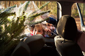 Two boys looking at Christmas tree in car