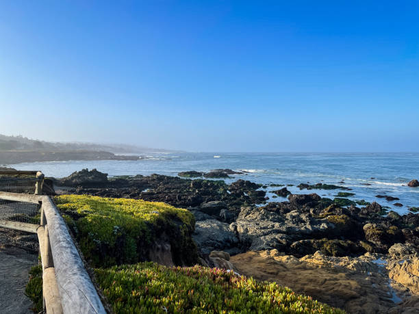 istock Rocky Pacific Coast North of Moonstone Beach 1414684718