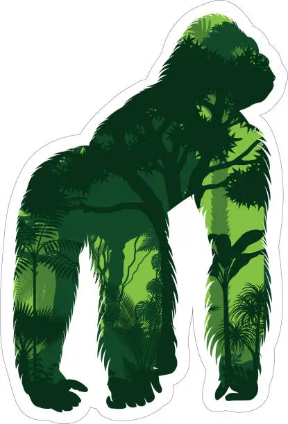 Vector illustration of Vector tropical rainforest Jungle illustration with male gorilla
