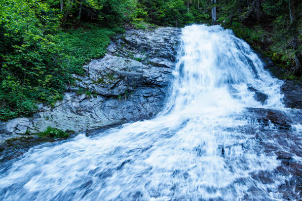 An aerial view of a cascading waterfall cutting through a dense forest, surrounded by mist and towering evergreen trees in a serene landscape.