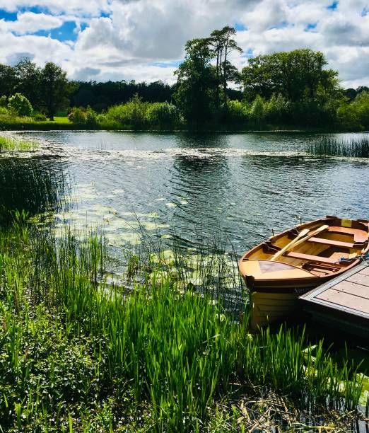 istock Dromoland Lough - Co. Clare, Ireland 1414693879