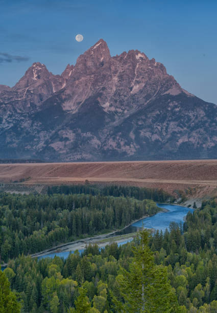 istock Fall Foliage in Grand Teton National Park 1414696693