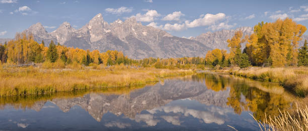 istock Fall Foliage in Grand Teton National Park 1414698360