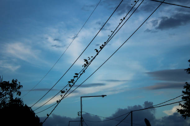 istock Grass creeps on the wires 1414701500