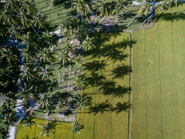 istock Countryside holiday destination 1414701533