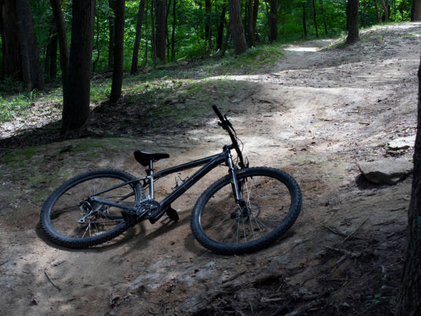 istock A mountain bike laying in the forest. 1414706310