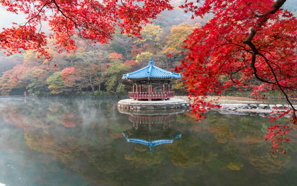 istock Autumn leaves at Uhwajeong. 1414709845