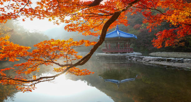 istock Autumn leaves at Uhwajeong. 1414710134