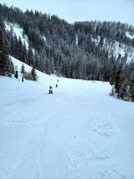 Where Is Riva Ridge Vail Located Vail Powder Stock Photos, Pictures & Royalty-Free Images - iStock