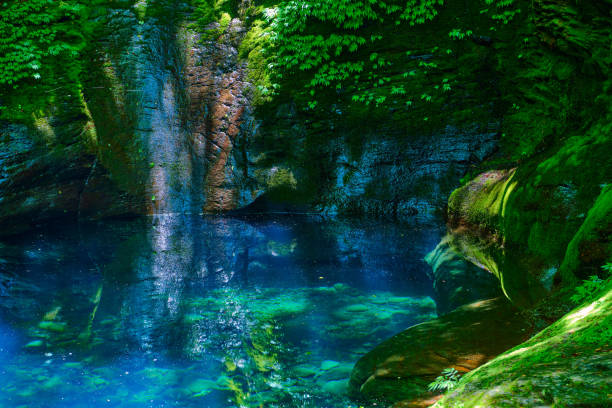流れるのを待っている滝の盆地 - water beauty in nature waterfall nikko ストックフォトと画像