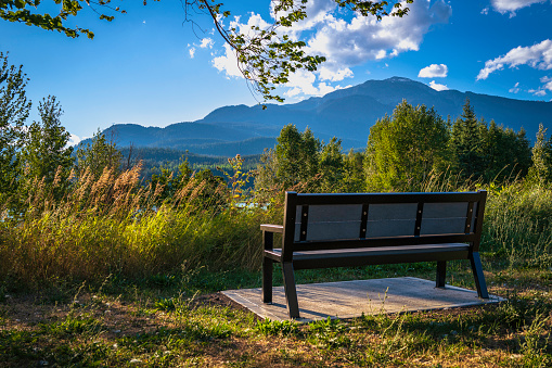 Vibrant summer landscape at Centennial Park in Revelstoke, Province of British Columbia, Canada