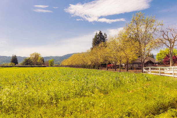 American tradicional landscape in countryside