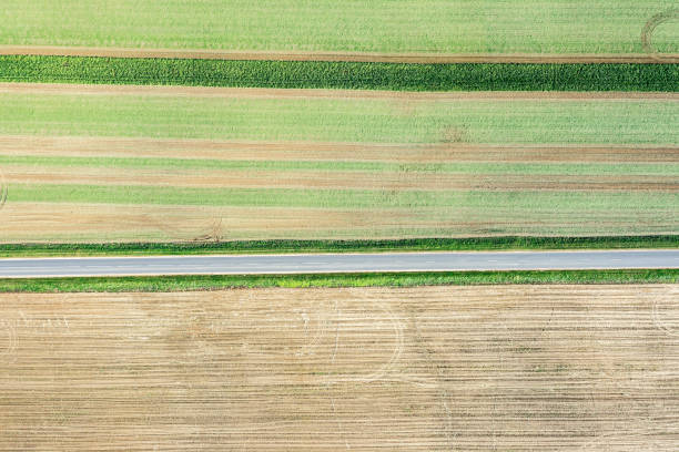 istock empty country road between agricultural plowed fields. aerial top drone view from above. 1414731382