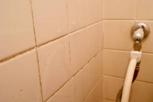 istock Black mold is growing in the gaps between tiles. 1414733143