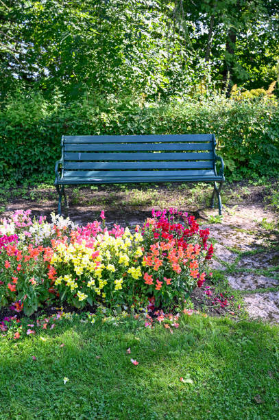 istock green bench standing in a shaded area in garden 1414733200