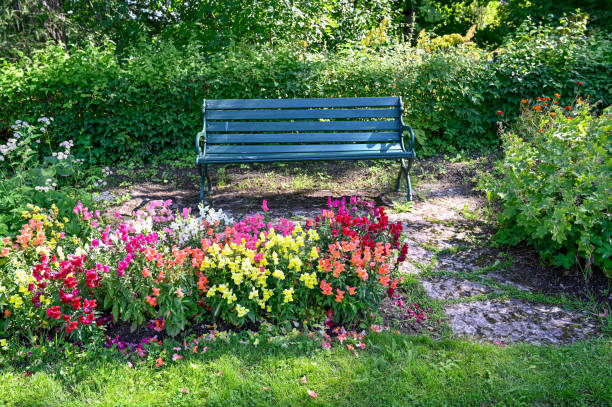 istock green bench standing in a shaded area in garden 1414733205