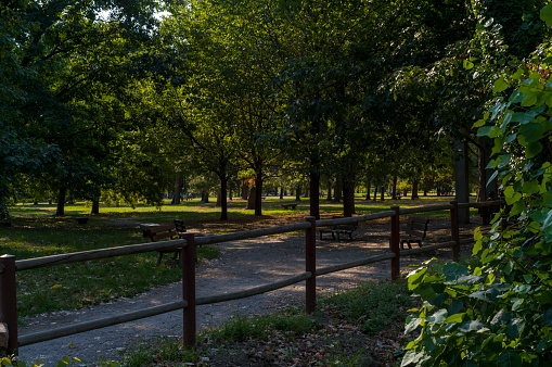 park, green meadow and blue sky