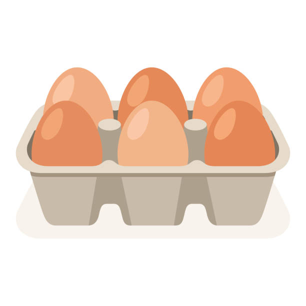 ilustraciones, imágenes clip art, dibujos animados e iconos de stock de caja de huevos con seis huevos - huevo etapa de animal