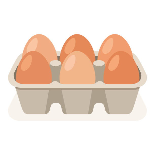 ilustrações, clipart, desenhos animados e ícones de caixa de ovos com seis ovos - food state illustrations