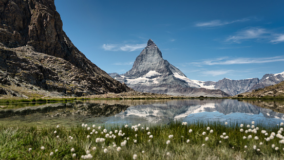 Matterhorn mountain peak with Swiss flag and alpine roses