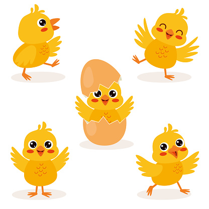 Cartoon Illustration Of Cute Chicks