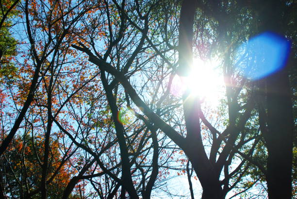 istock four seasons landscape. 1414739069