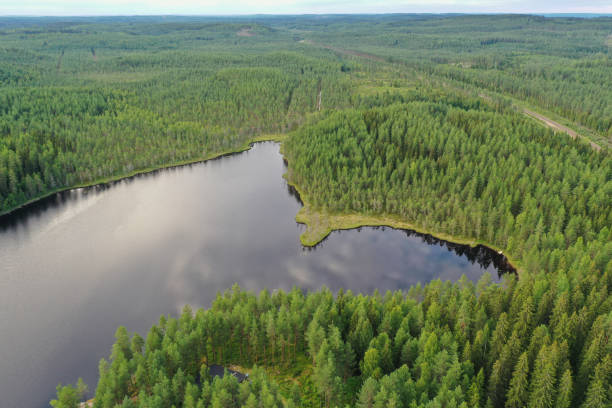 istock Finland lake nature landscape forest wilderness 1414739395