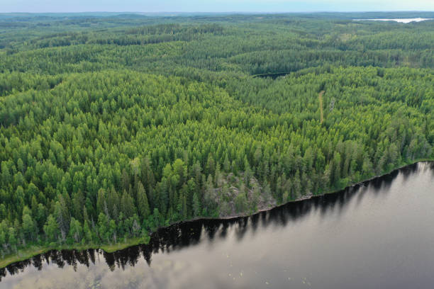 istock Finland lake nature landscape forest wilderness 1414739415