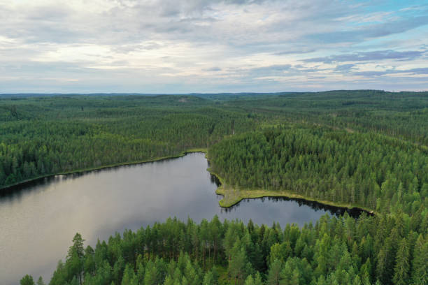istock Finland lake nature landscape forest wilderness 1414740080