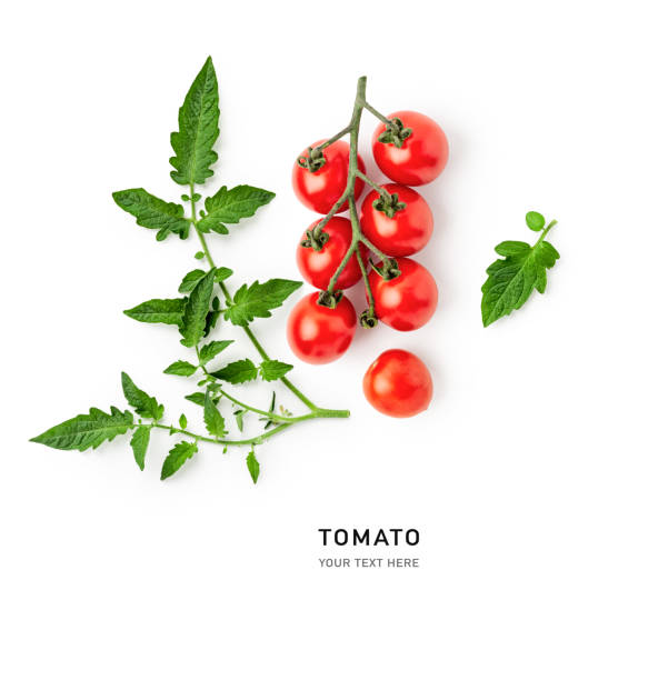 istock Red tomatoes with leaves on white background 1414743720