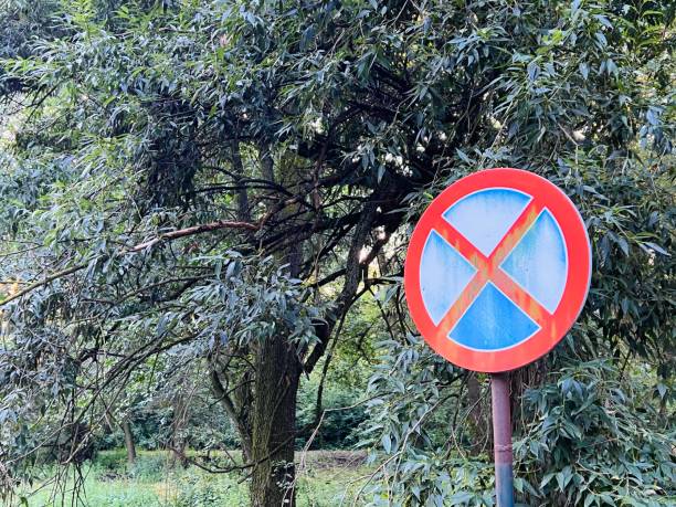 istock Street sign absolute no stopping 1414744728