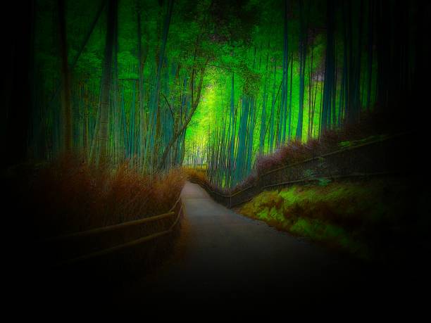 Bamboo forest path in Arashiyama, Kyoto
