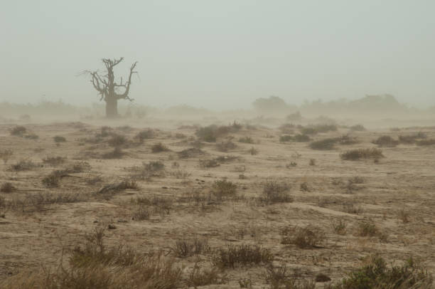 Dust storm in a desert landscape. stock photo