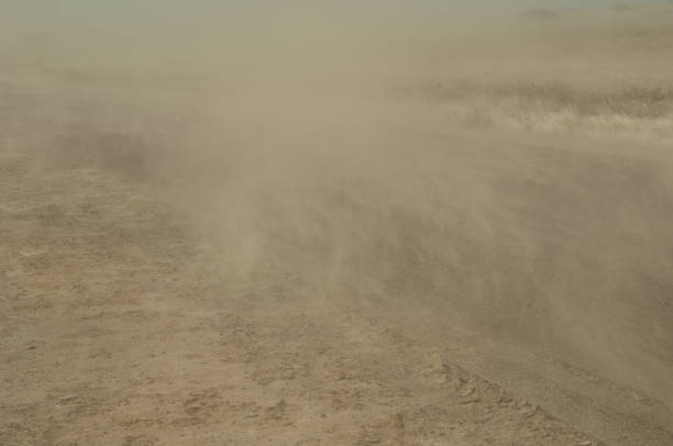 Dust storm in a desert landscape. Oiseaux du Djoudj National Park. Saint-Louis. Senegal.