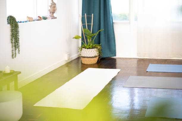 istock Wide shot empty yoga studio with potted plants 1414749931